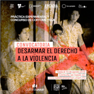 Desarmar el derecho a la violencia