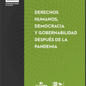 Derechos Humanos, democracia y gobernabilidad después de la pandemia